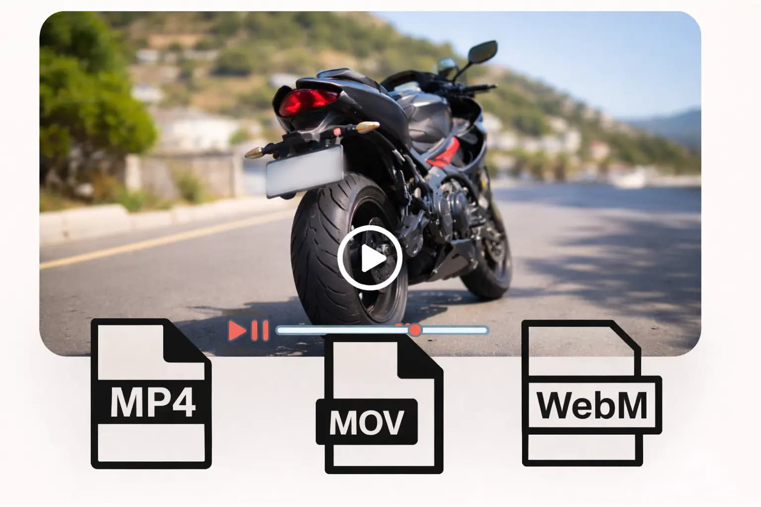 Combined privacy pass showing blurred face adjacent to vehicle context